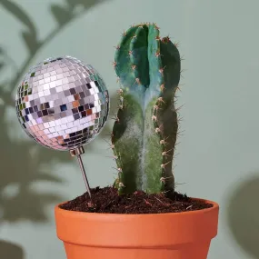 Disco Queen Plant Stake