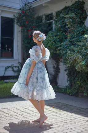 La Belle Etoile Organza French Puff Dress