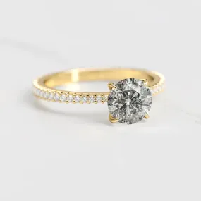 Round Full Pave Tapered Salt & Pepper Diamond Ring