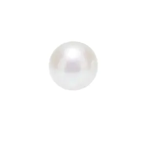 Top Grade Semi Round White Freshwater Pearl WA00013