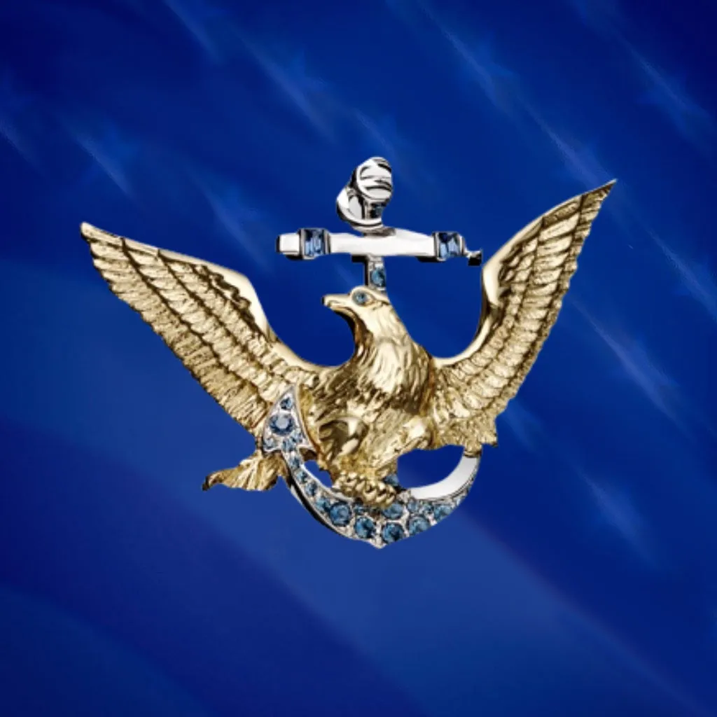 US Navy Pin